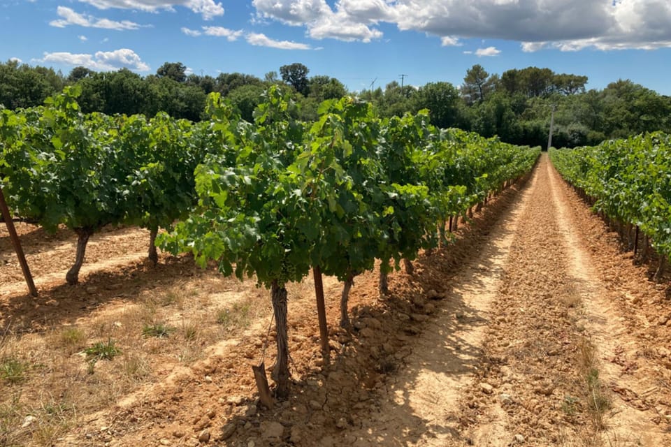 Euzet is an IGP Gard, IGP Cévennes. IGP Oc and AOC Duché d'Uzès wine village.