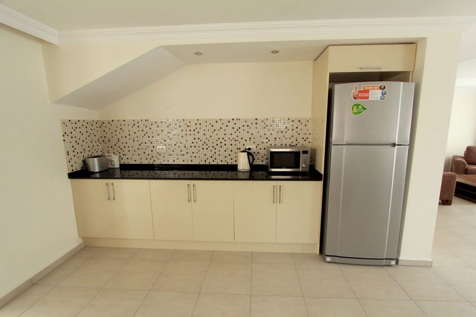 large fridge freezer and ample work surfaces