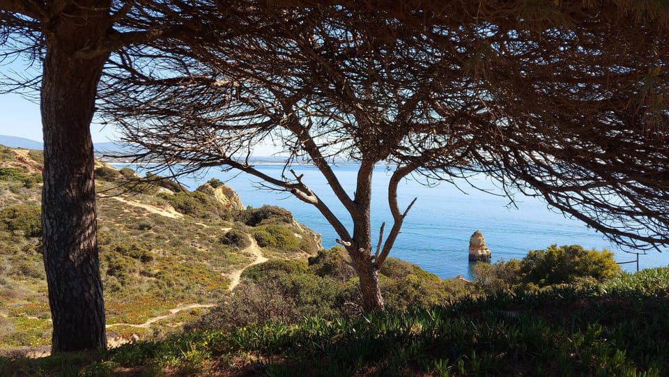 Cliff top views just a few minutes walk from the apartment 