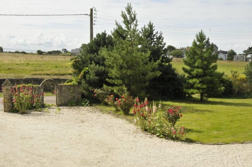 Garden, Park