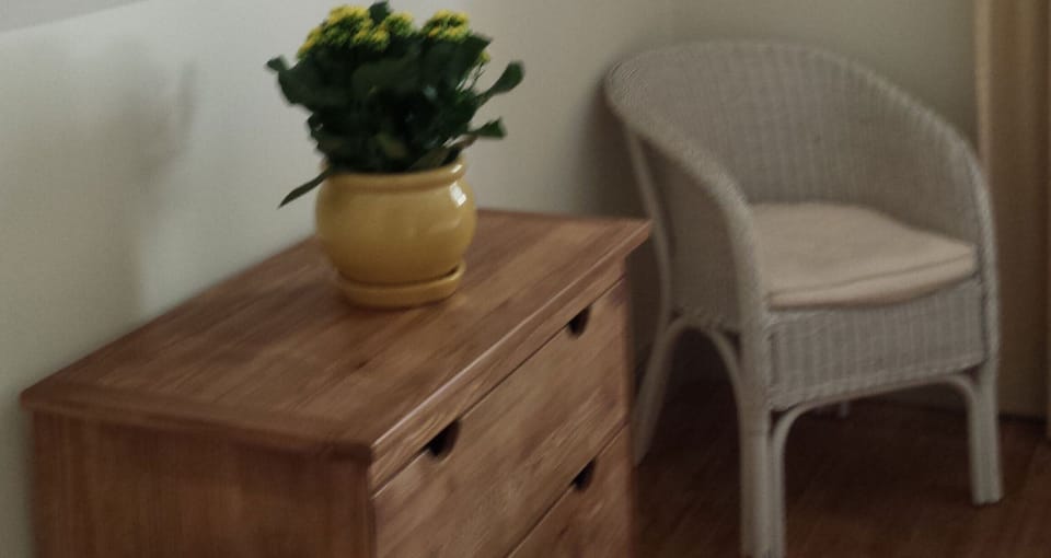 the bedrooms have chest of drawers