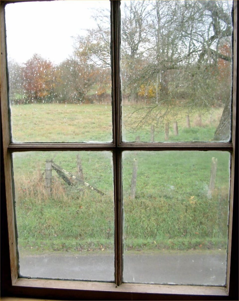 View from the window