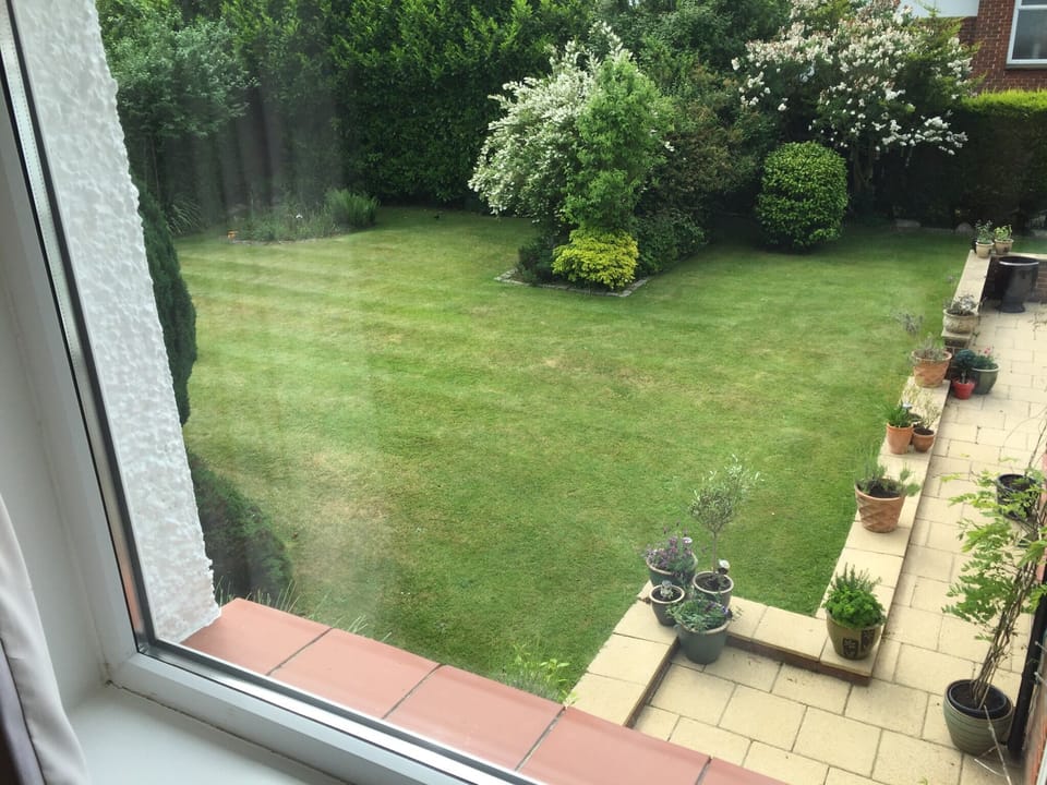 View from bedroom.