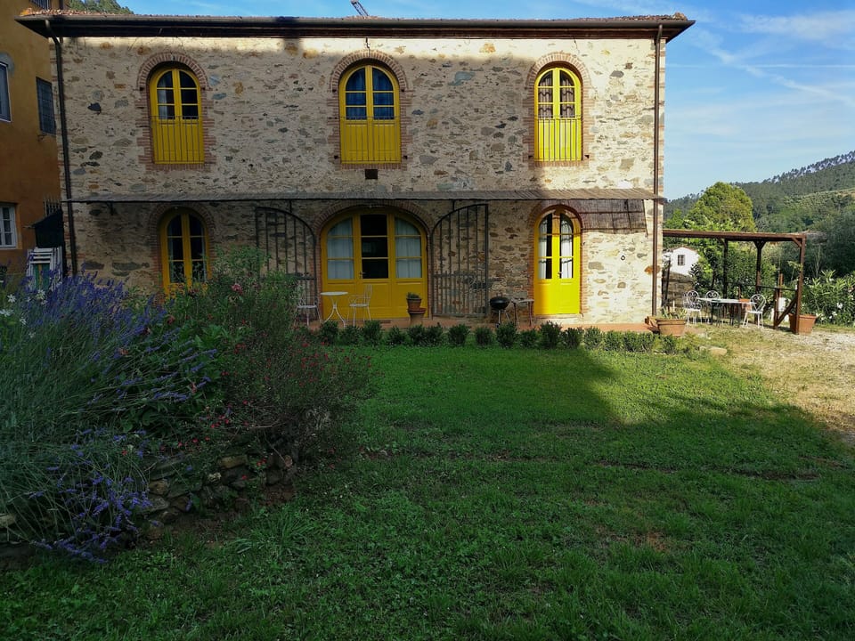 The newly painted barn and new pergola in June 2019