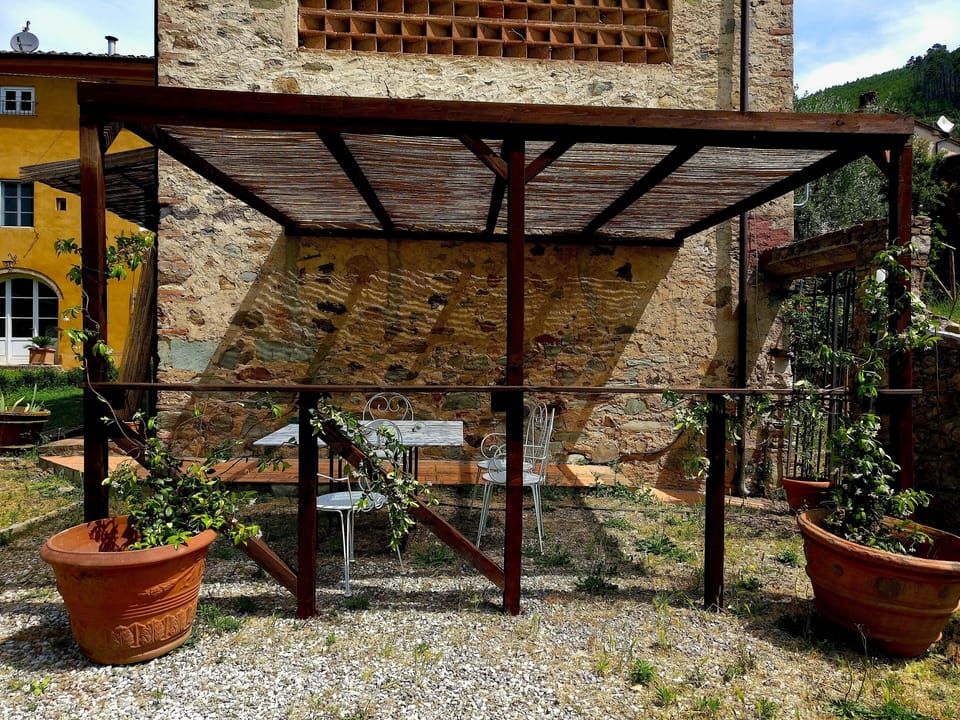 The new pergola, June 2019