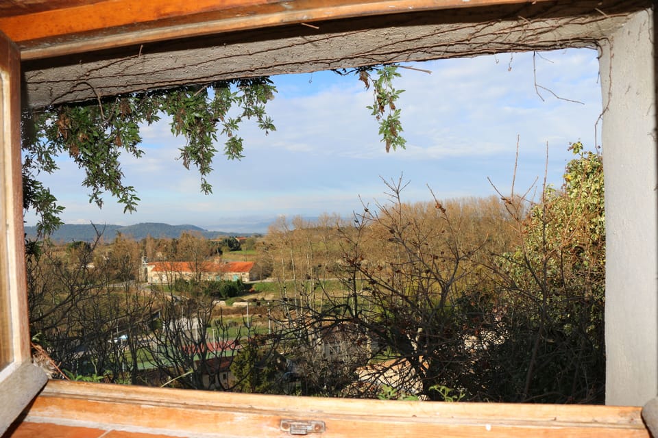 Kitchen Window Spring view