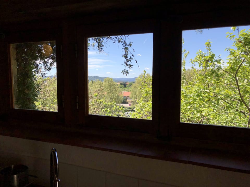 Kitchen windows