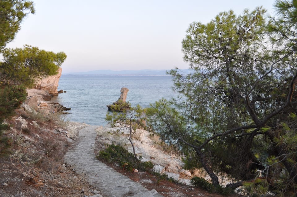 The stony path that leads to the beach from the garden