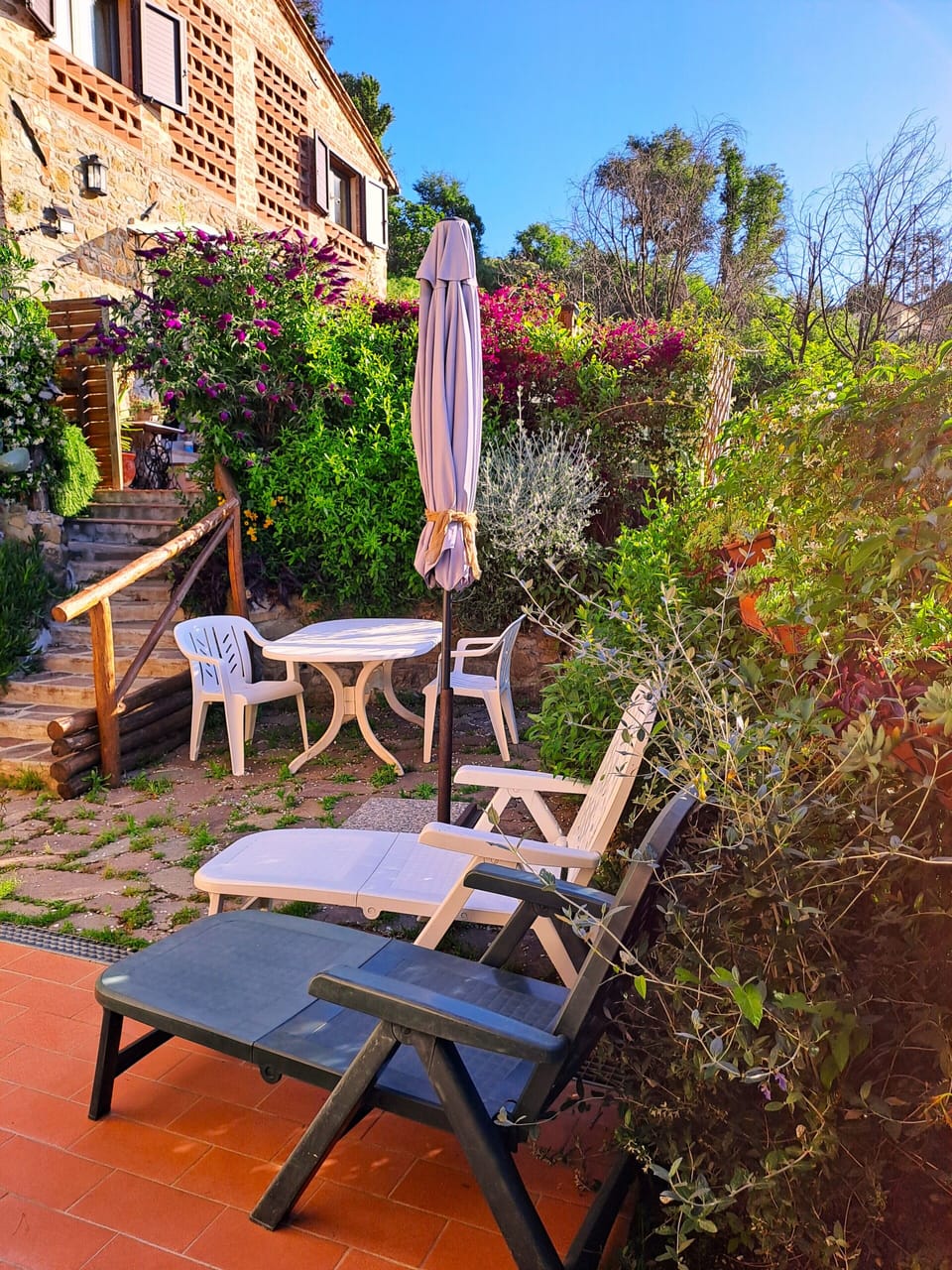 the garden equipped for breakfast and the sun