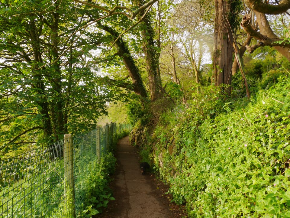 To the Beach - Carbis Bay