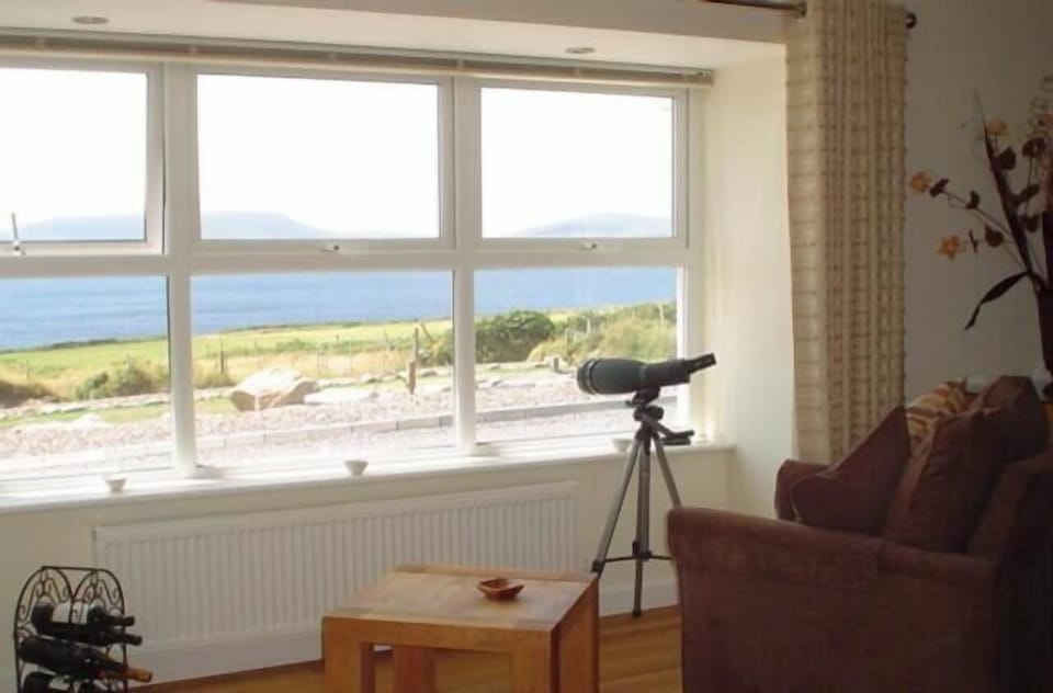 Watch the Gannets Diving or spot Dolphins