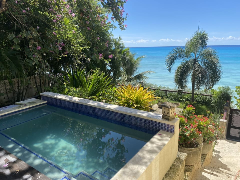 Plunge pool