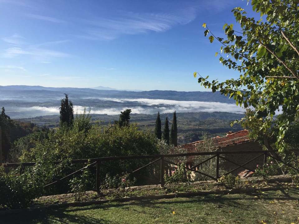il giardino