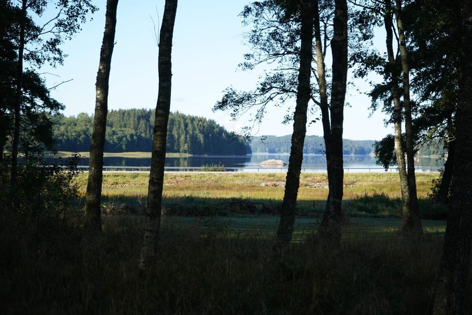 View from the cottage and garden plot