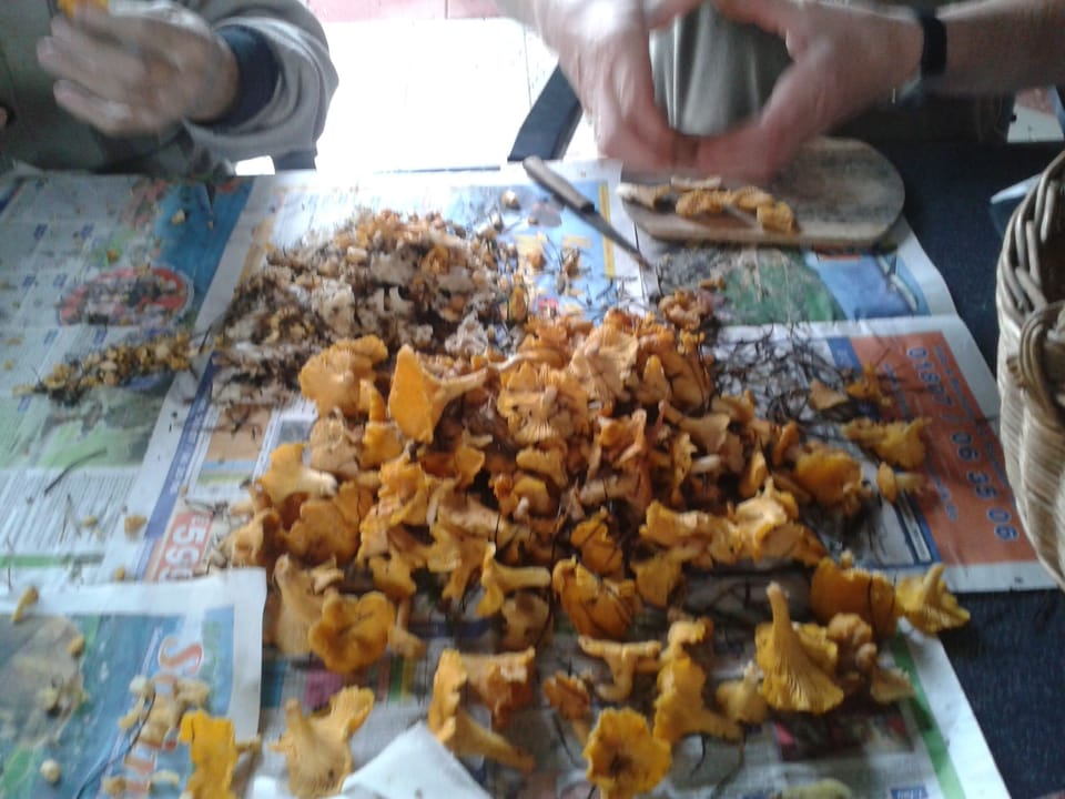 Food and drink