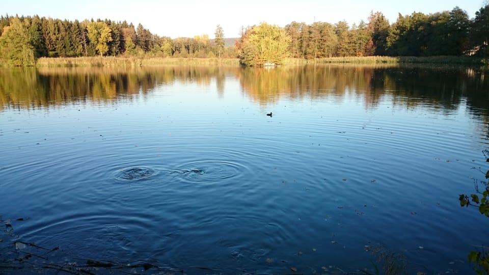 Lake