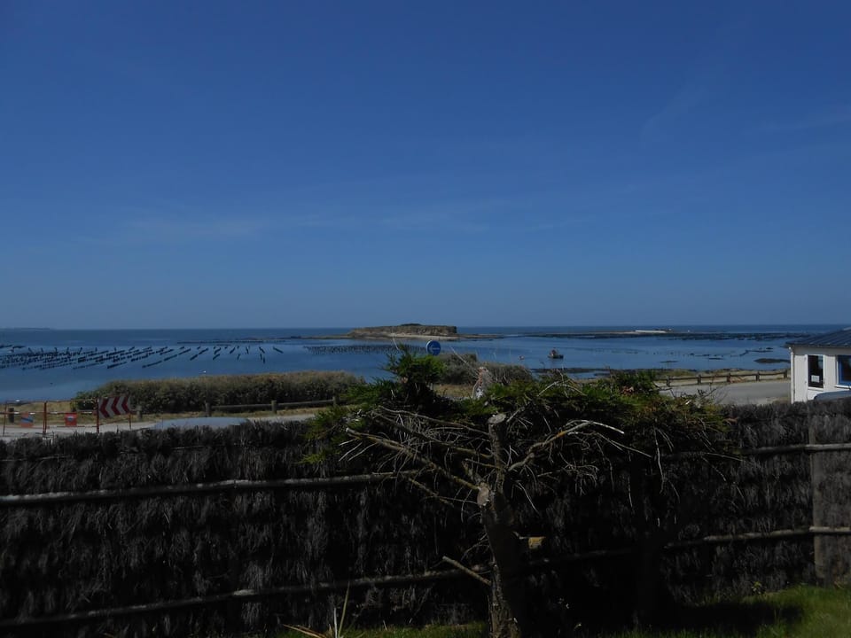 Beach/ocean view