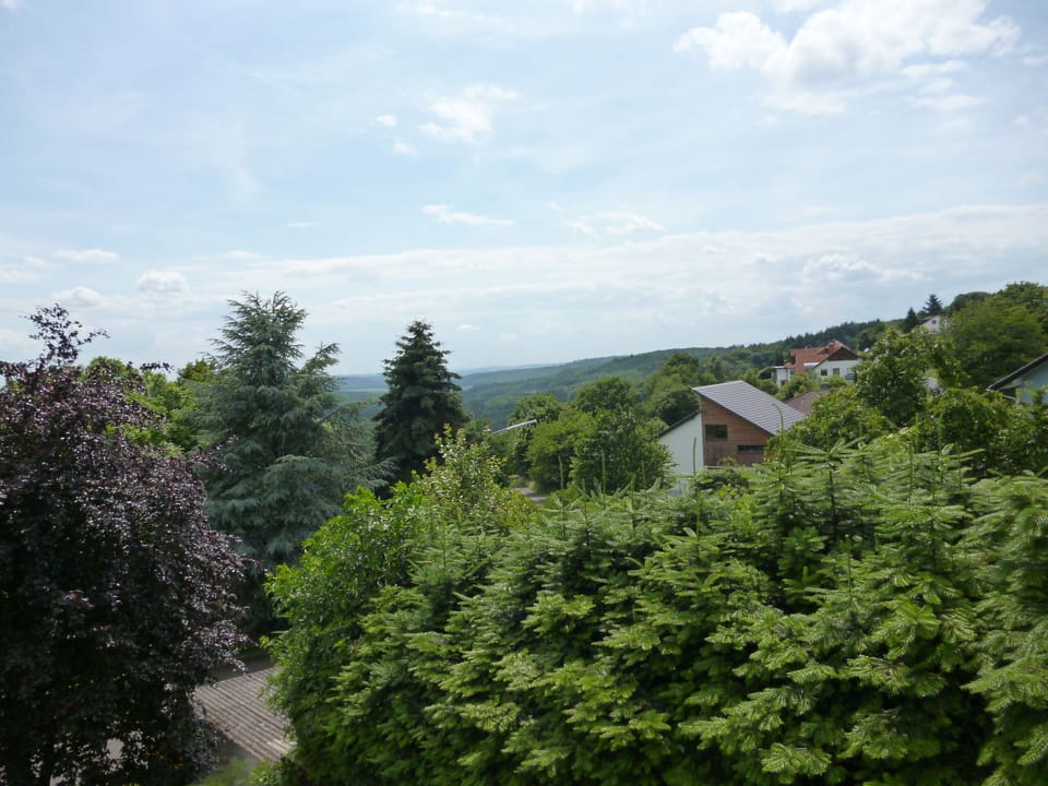 Excellent hillside location with wonderful views. Pets Allowed. Family friend. Apartment in Hesse