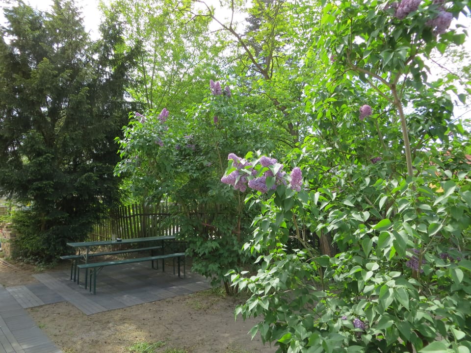 The front garden, a barbeque is incuded