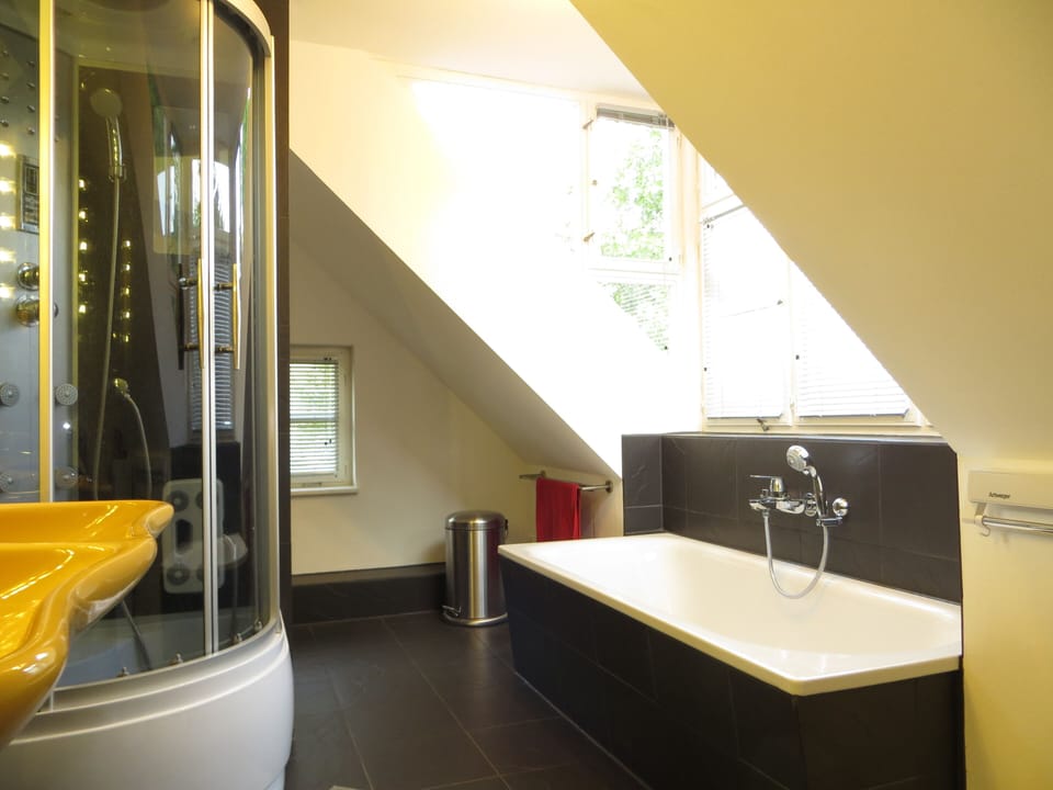 the huge bathroom provides a luxury shower as well as a bath tub.