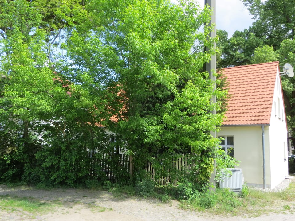 a green wall keeps your privacy while sitting in the front garden