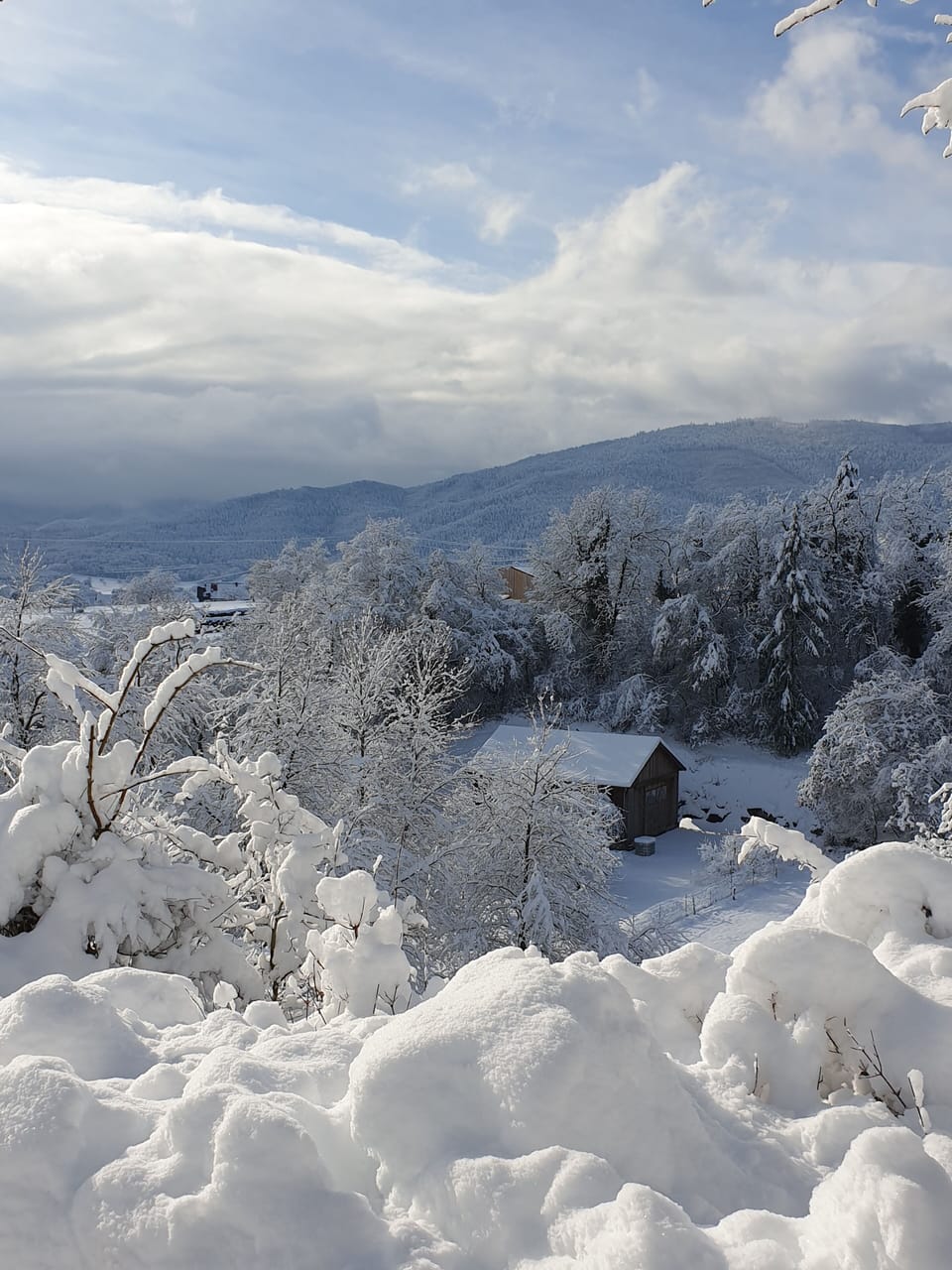 Snow and ski sports