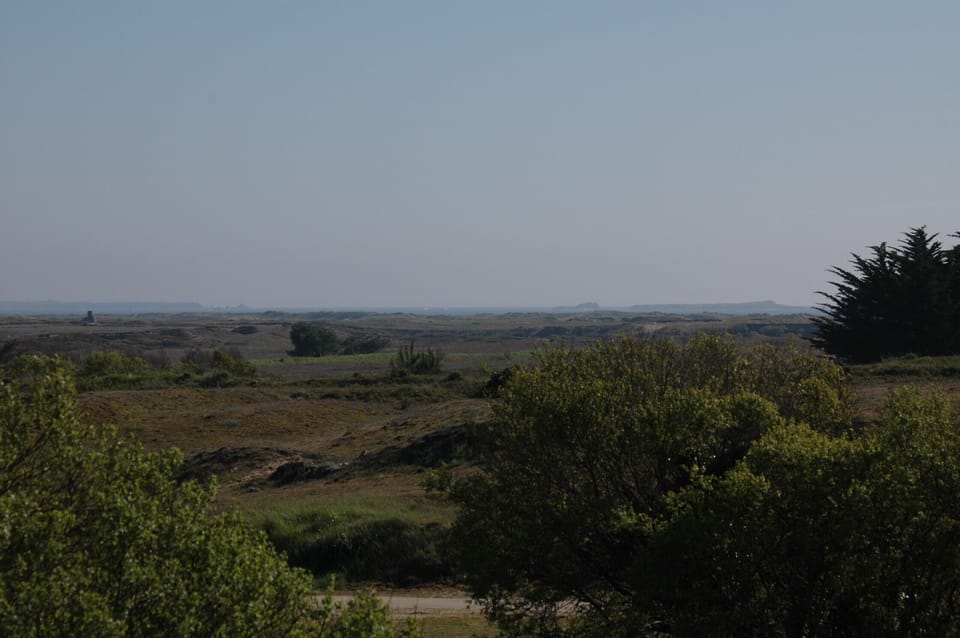 Sea views