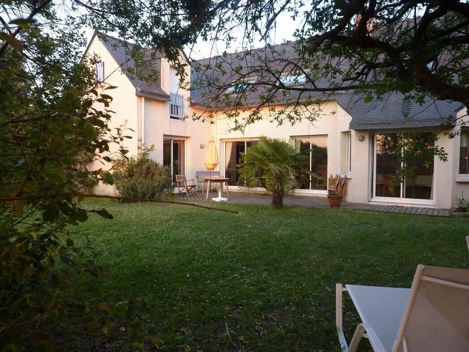 View from the willow on the marsh