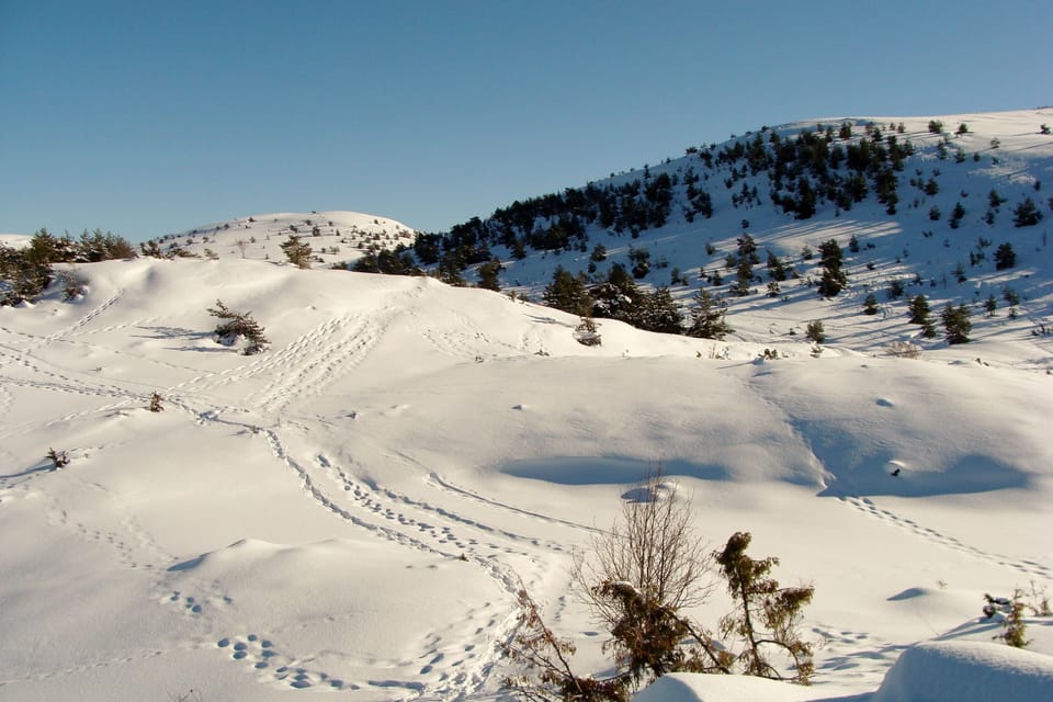 Snow and ski sports