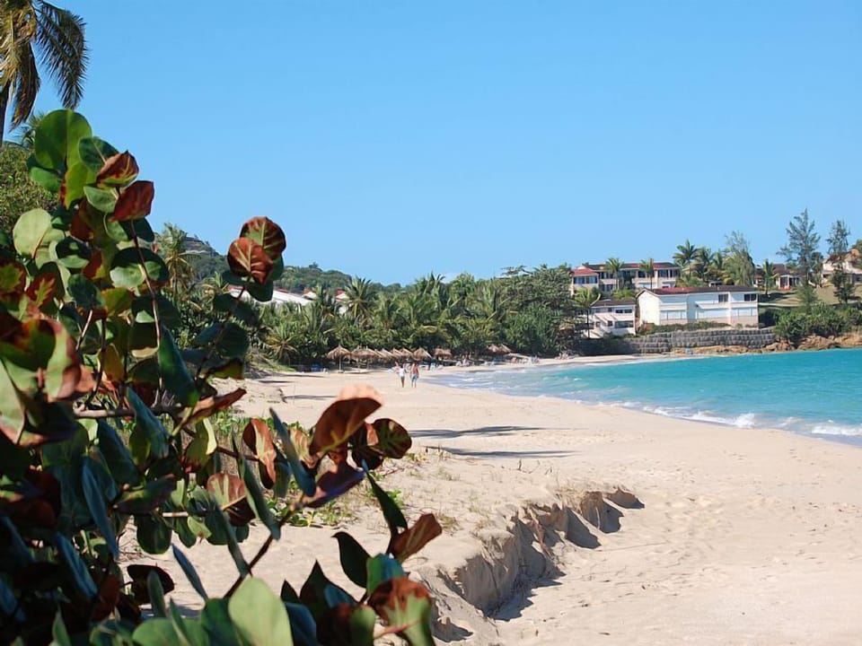 Beautiful Coconut beach also very close to Pinkshack