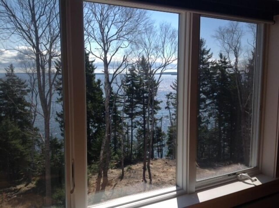 View from the livingroom