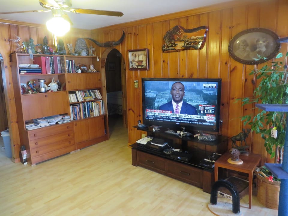 Living room, 50 inch TV, ceiling fan,  and bookcase, entrance to upstairs