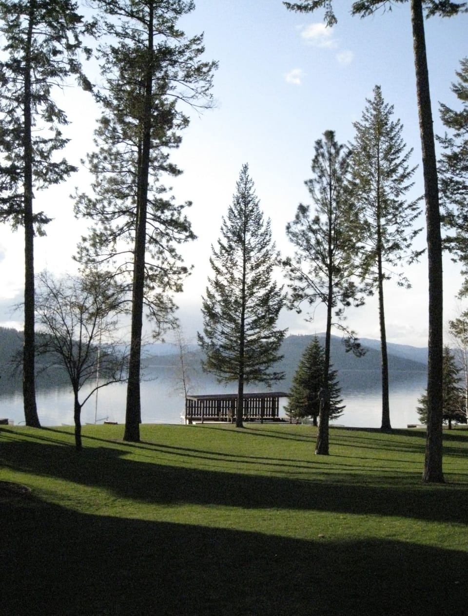 view from house toward lake