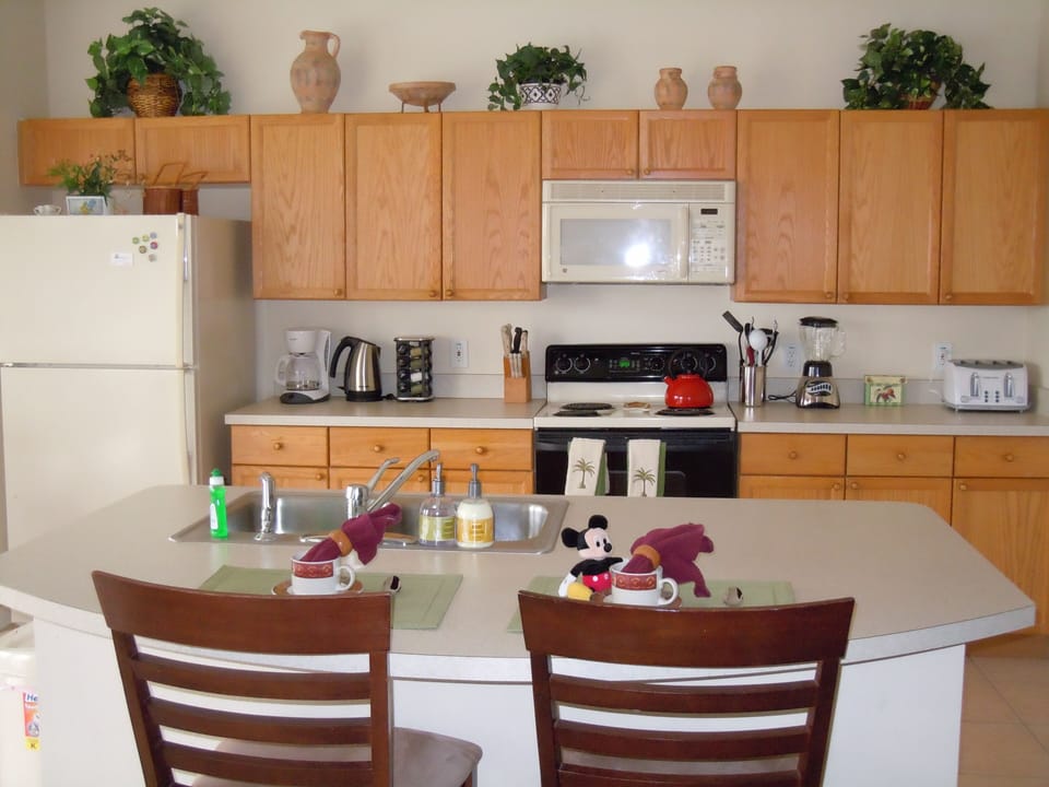 Fully equipped kitchen - Enjoy a beverage with Mickey!
