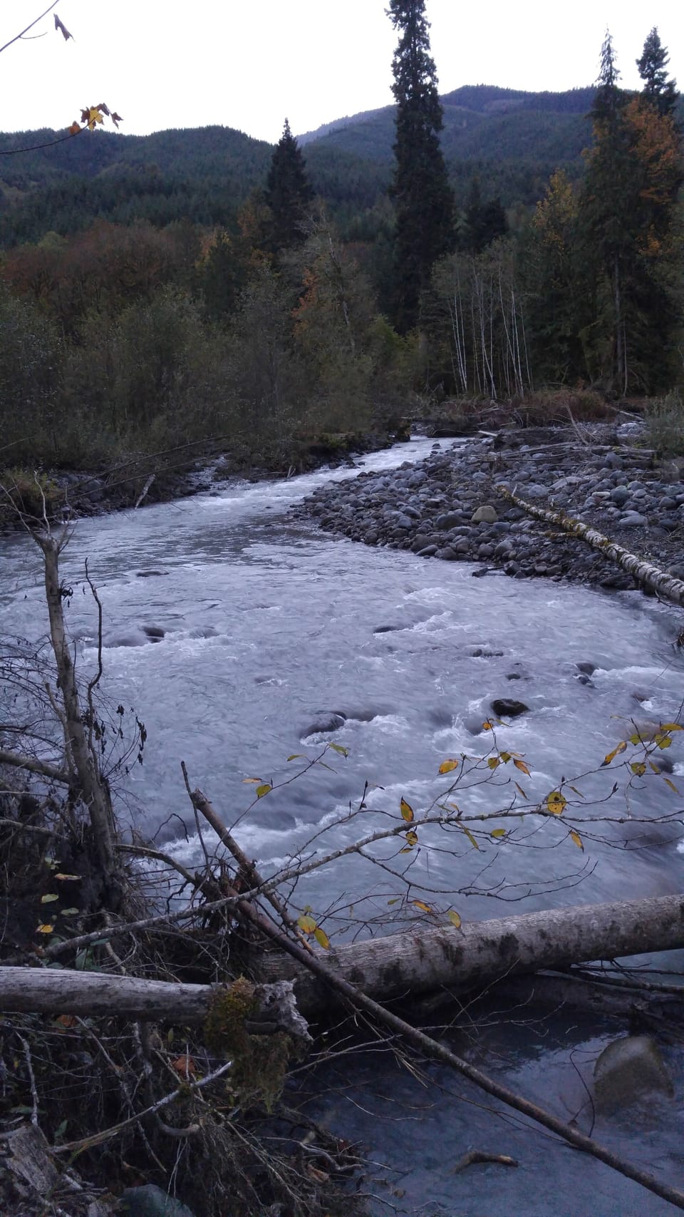 Glacier creek short walk down the trail from cabin