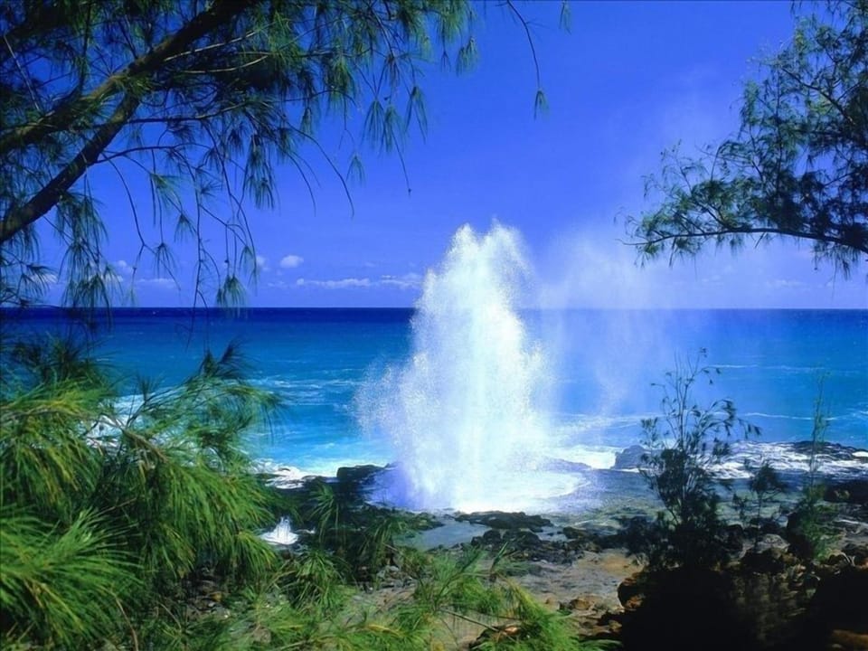 Spouting Horn