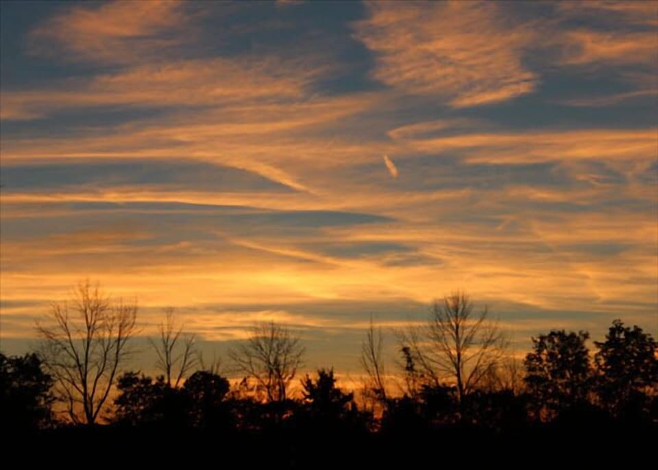 Autumn sky from the back yard