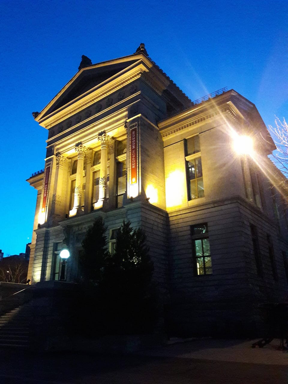 Within walking distance: McGill Campus and Redpath Museum (20 mins)