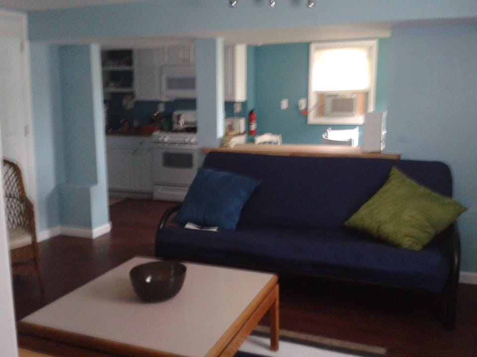 Living room futon sleeps 2