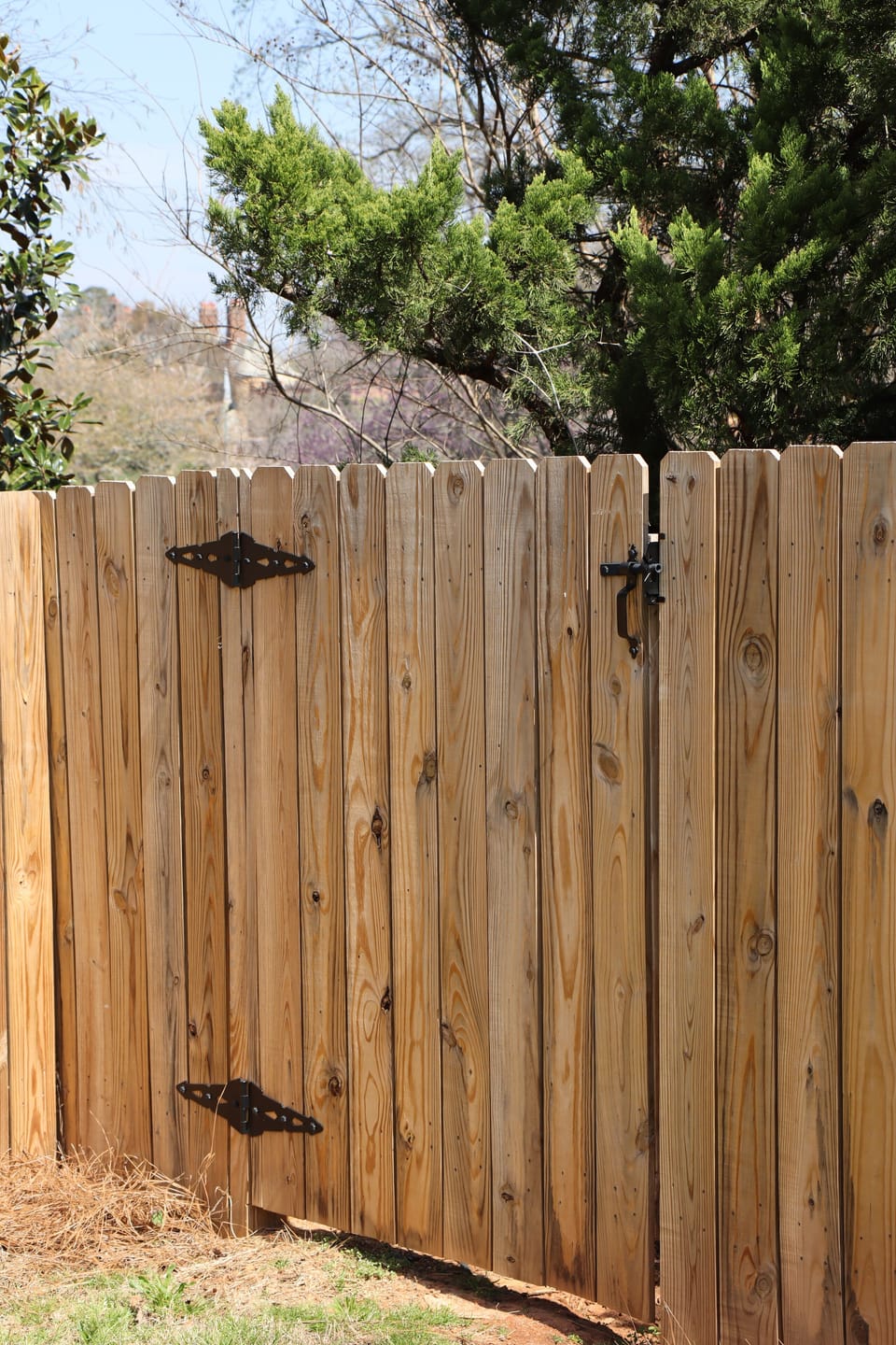 Secret gate to take a walk to Graylyn property.