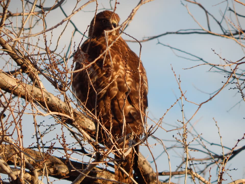 Plenty of wildlife and nature in them there hills and arroyos