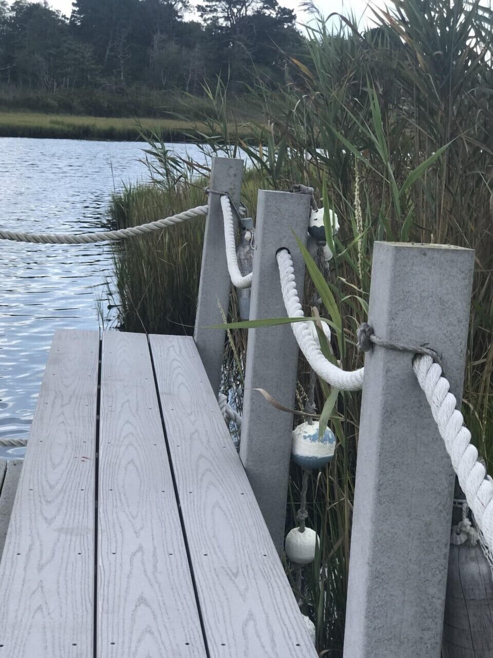 seating on the dock