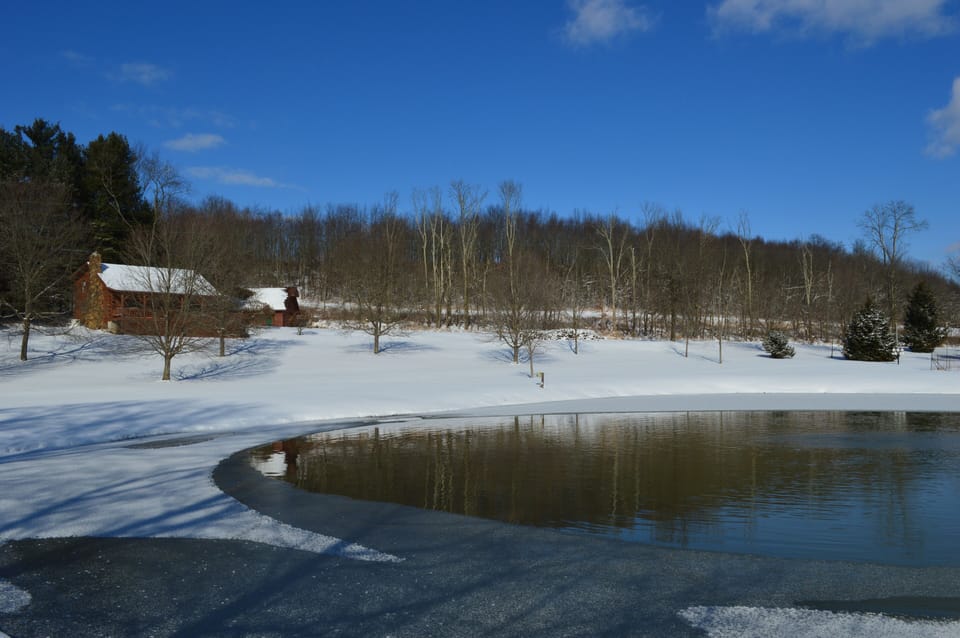 View of Lodge from across pond.