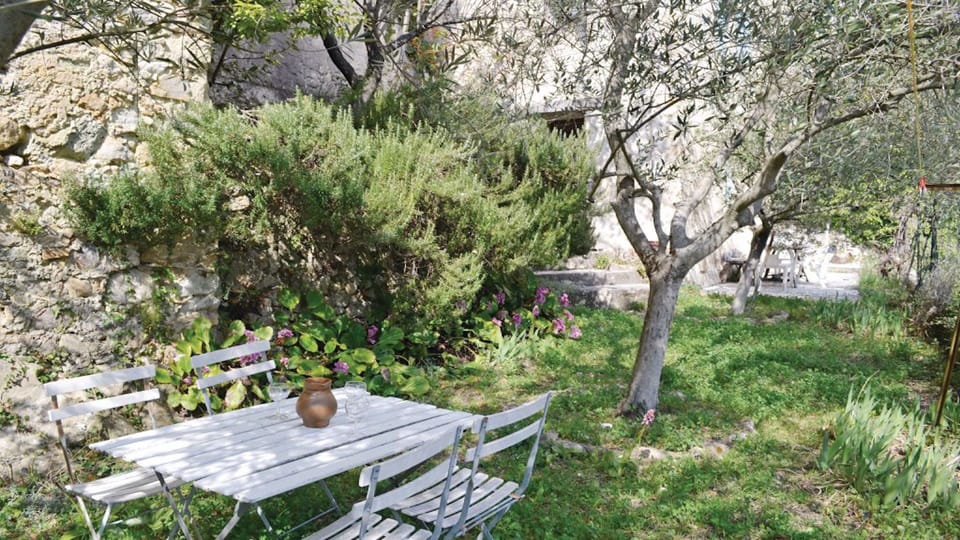 Garden /Jardin