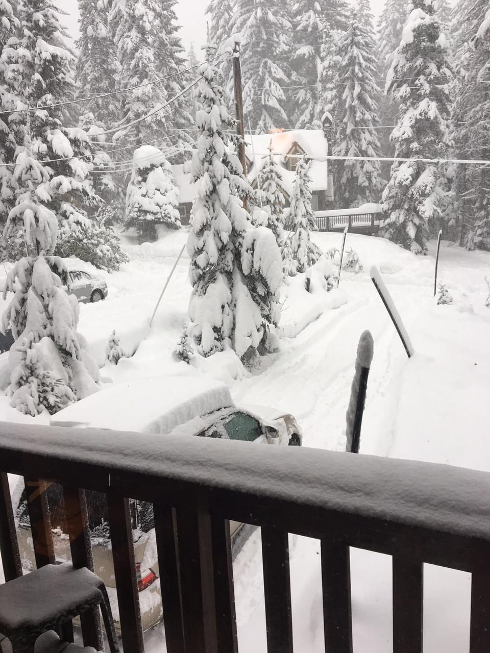 Winter view from our front deck.