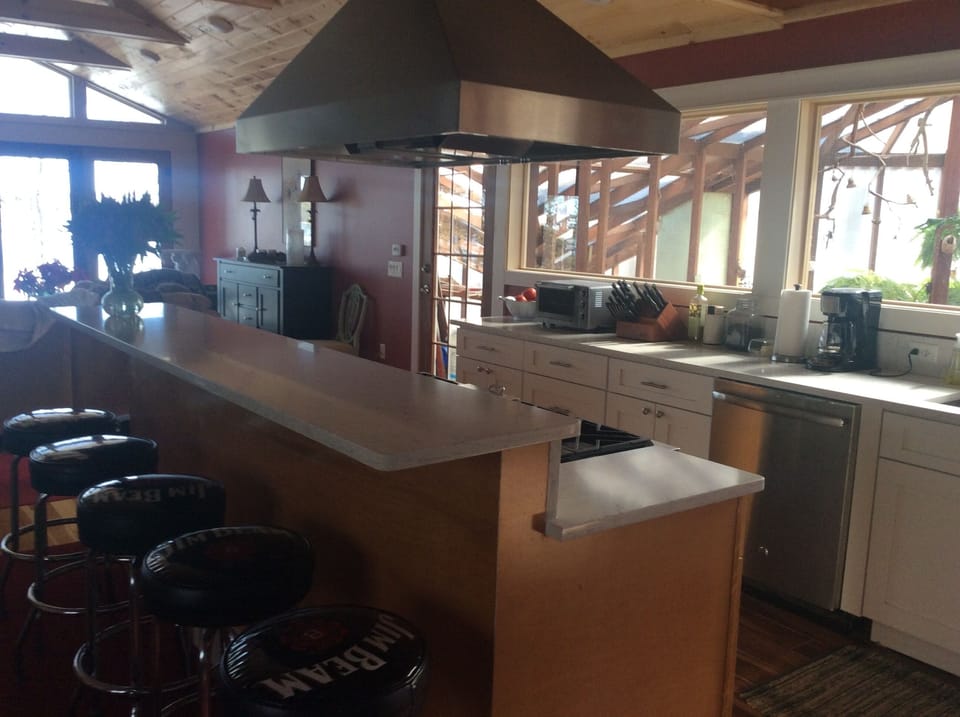 Kitchen looks out onto the greenhouse which has an aviary with Zebra finches.  