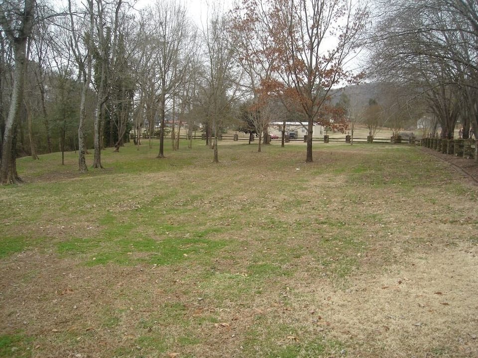 Large yard for gathering and playing.