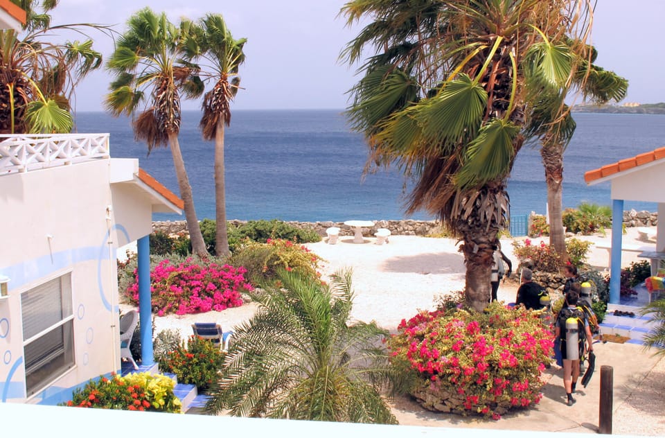 View from terrace, divers heading toward the stairs. (Open area in wall on Rt)