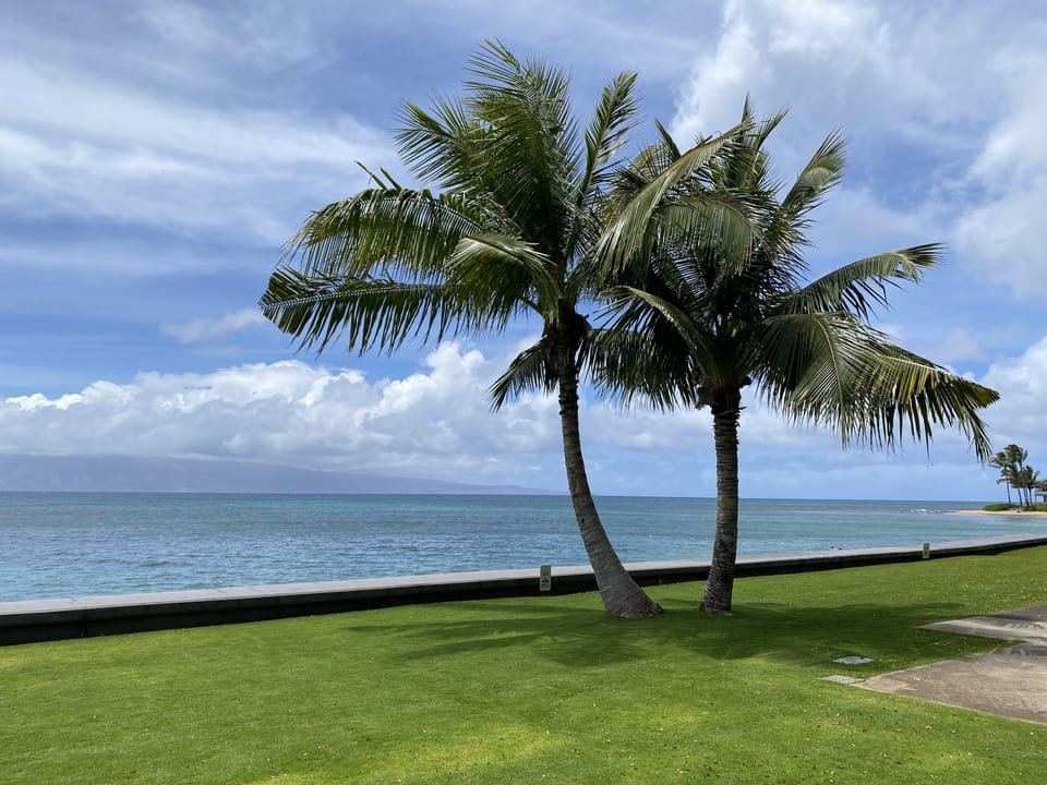 View from property