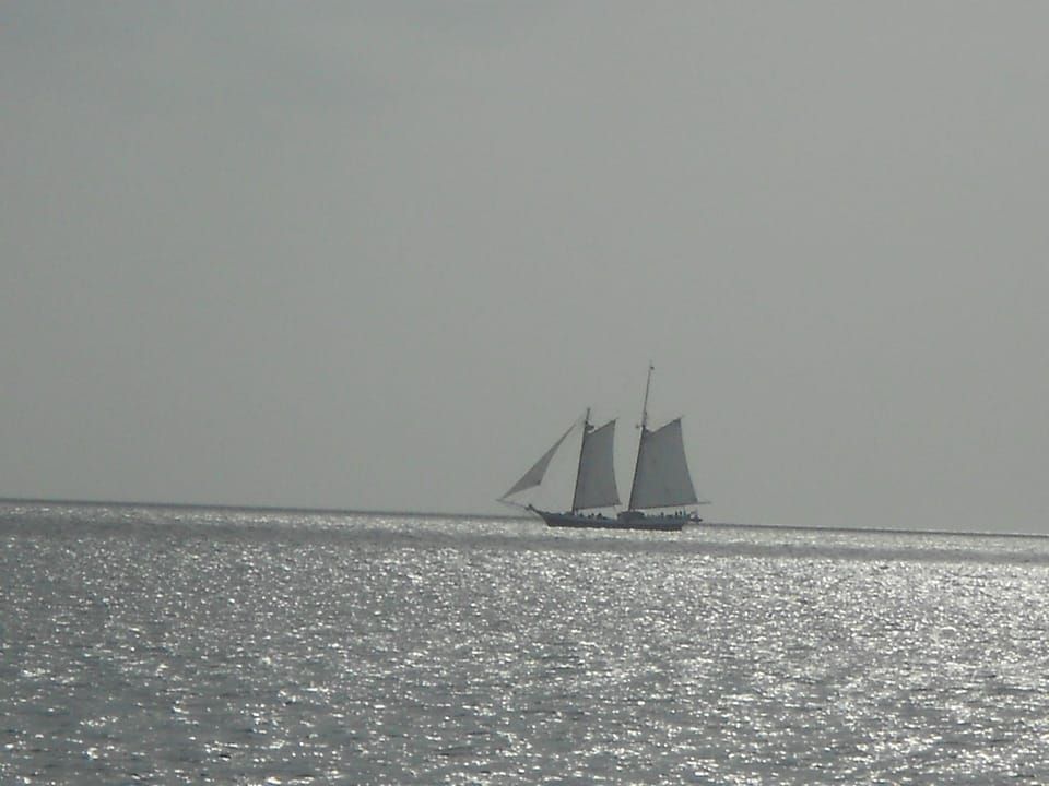 View from palapa on a windy day